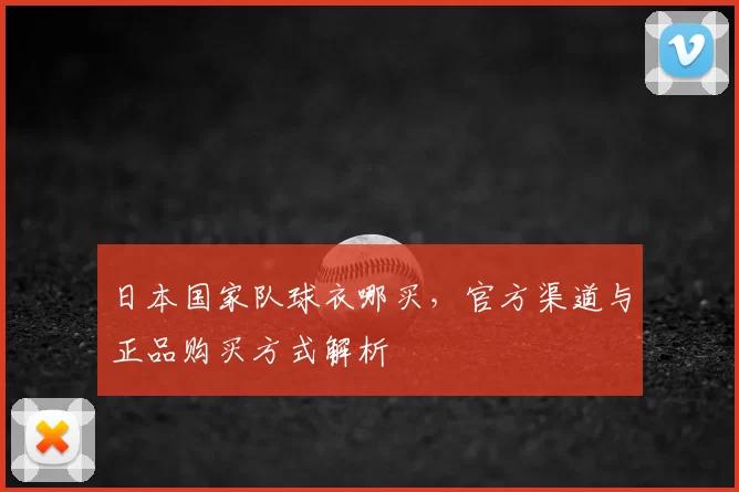 日本国家队球衣哪买，官方渠道与正品购买方式解析