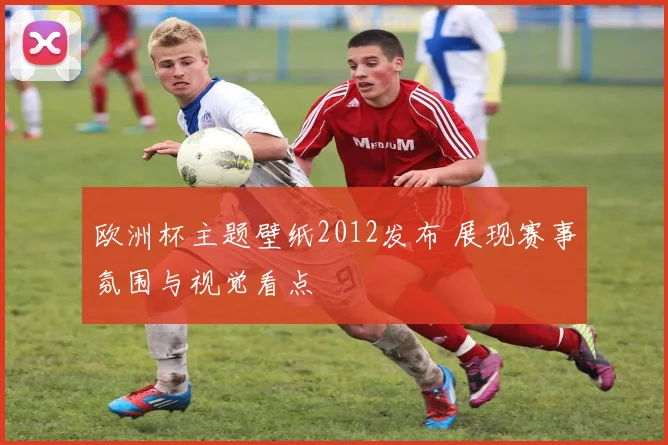 欧洲杯主题壁纸2012发布 展现赛事氛围与视觉看点