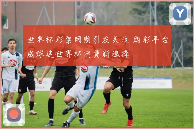 世界杯彩票网购引发关注 购彩平台成球迷世界杯消费新选择