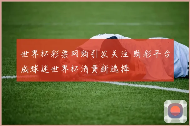 世界杯彩票网购引发关注 购彩平台成球迷世界杯消费新选择